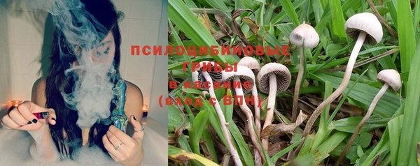 Альфа ПВП Навашино